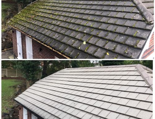 Garage & Porch roof cleaning examples